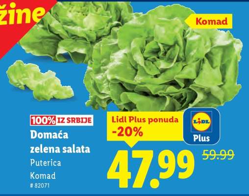 Domaća zelena salata
