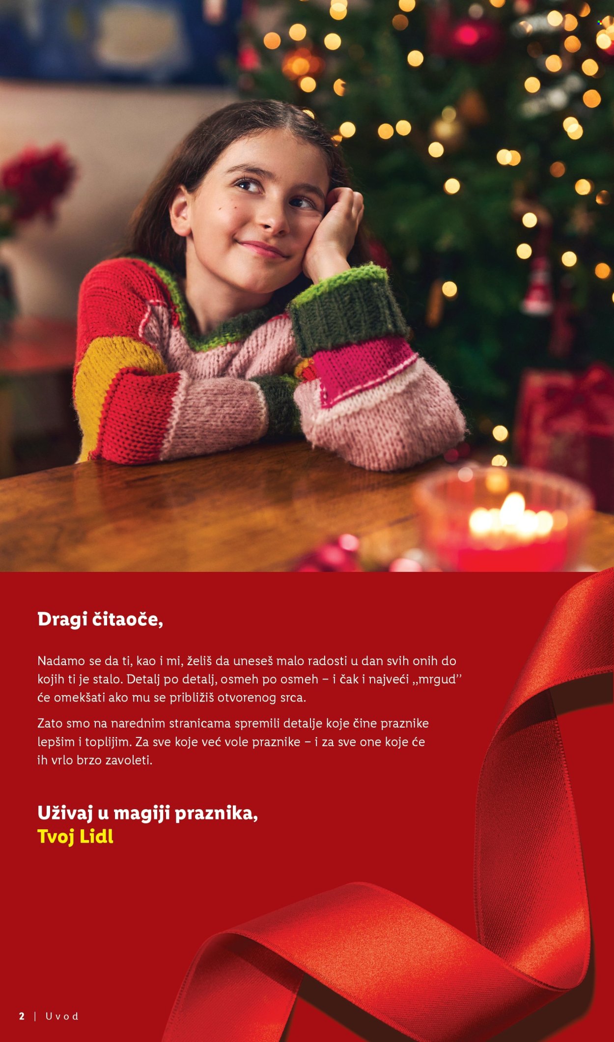 Lidl katalog. Stranica 2