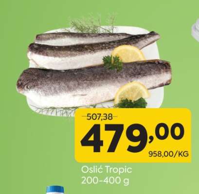 Oslić Tropic