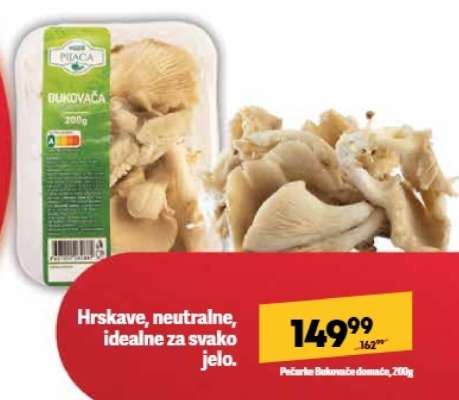 Pečurke bukovače domaće 200g
