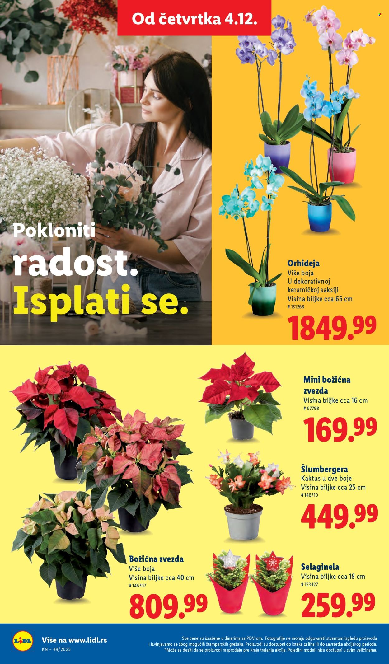 Lidl katalog - 04.12.2025 - 10.12.2025. Stranica 58