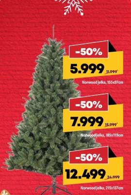 Norwood jelka, 185x119cm