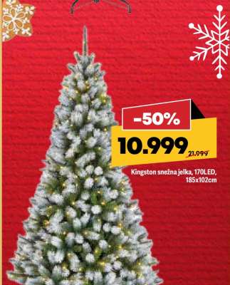 Kingston snežna jelka