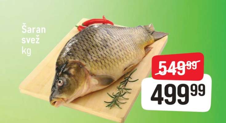 Šaran svež