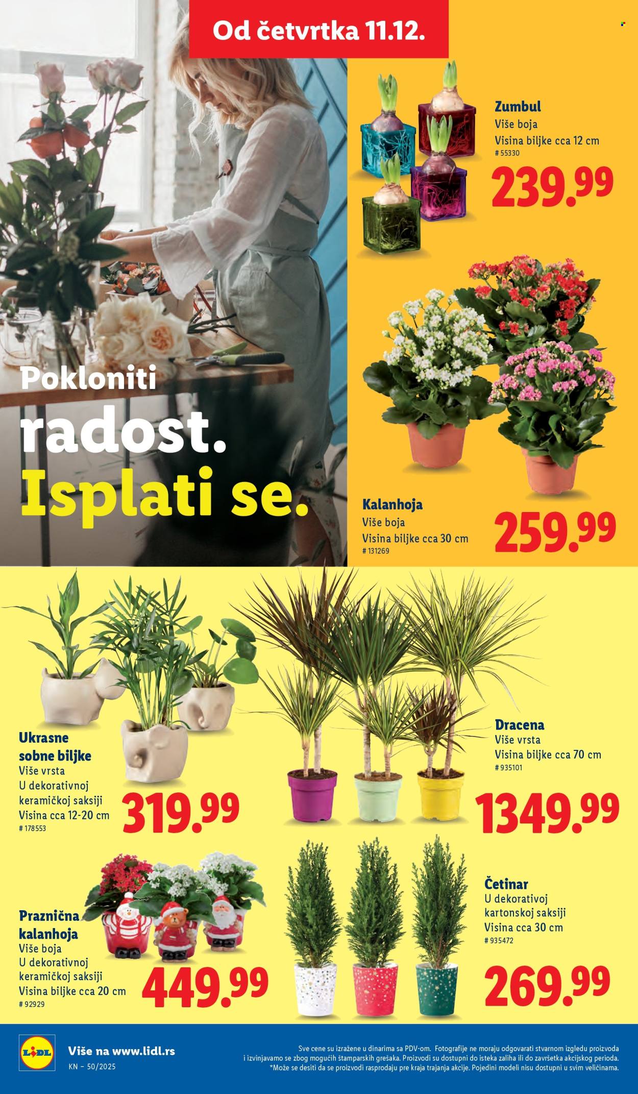 Lidl katalog - 11.12.2025 - 17.12.2025. Stranica 62