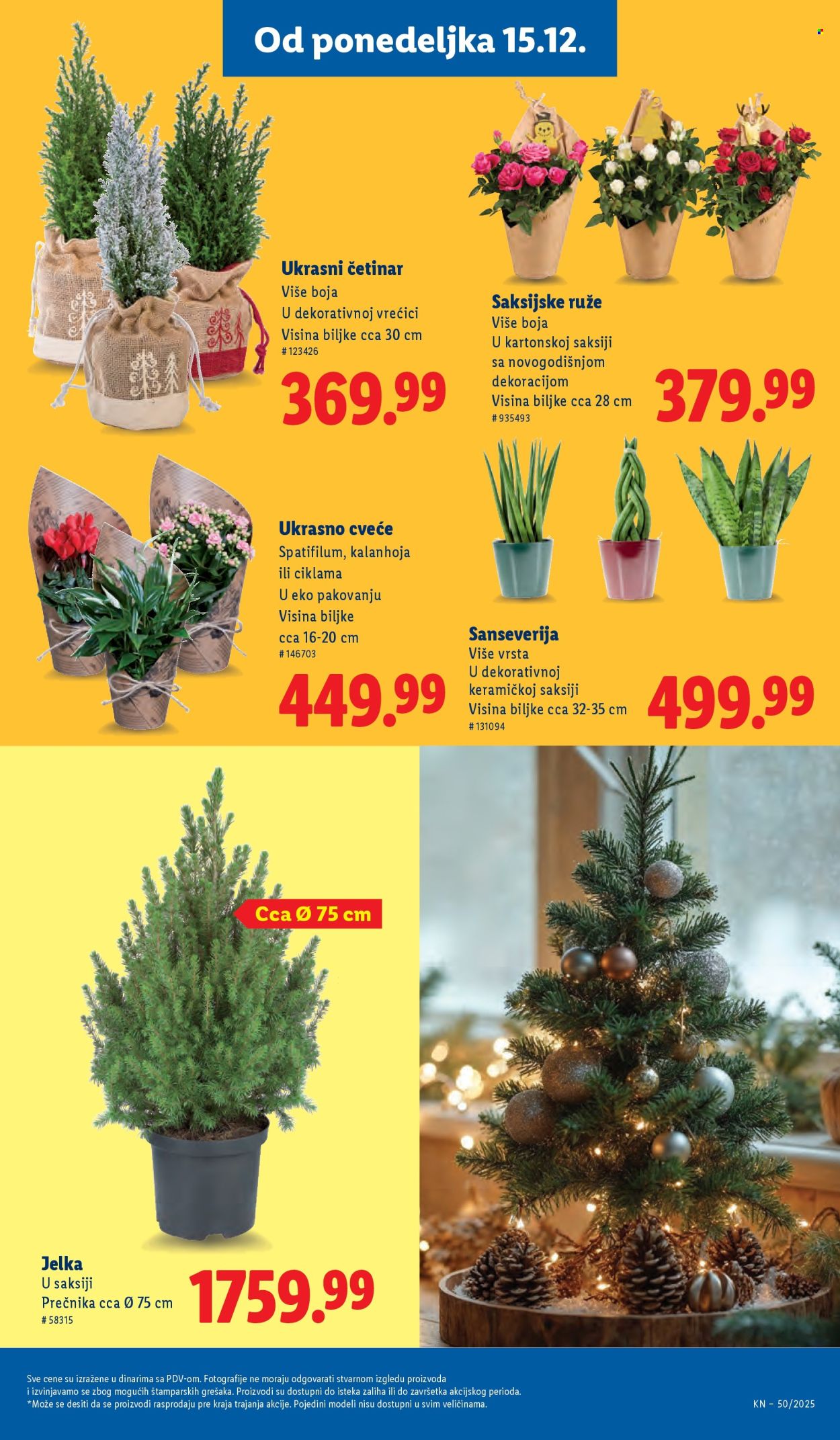 Lidl katalog - 11.12.2025 - 17.12.2025. Stranica 63