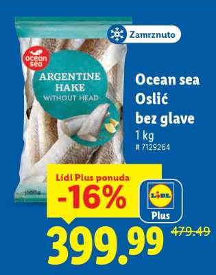 Ocean Sea Oslić bez glave