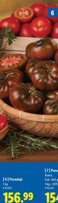 Paradajz