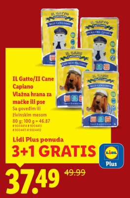 IL Gatto / IL Cane Capiano