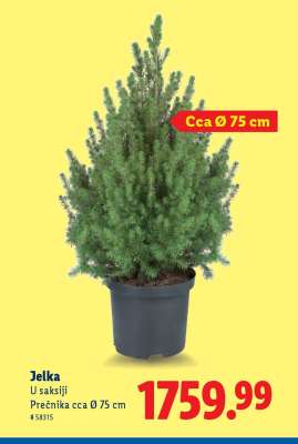 JELKA