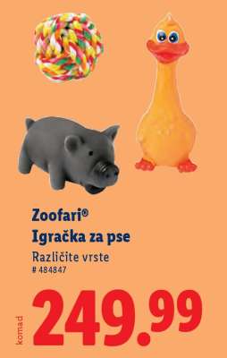 Zoofari
