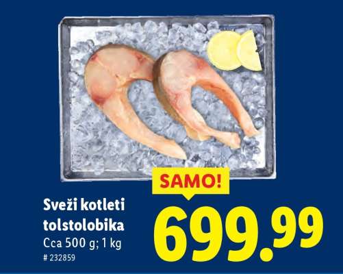 Sveži kotleti tolstolobika