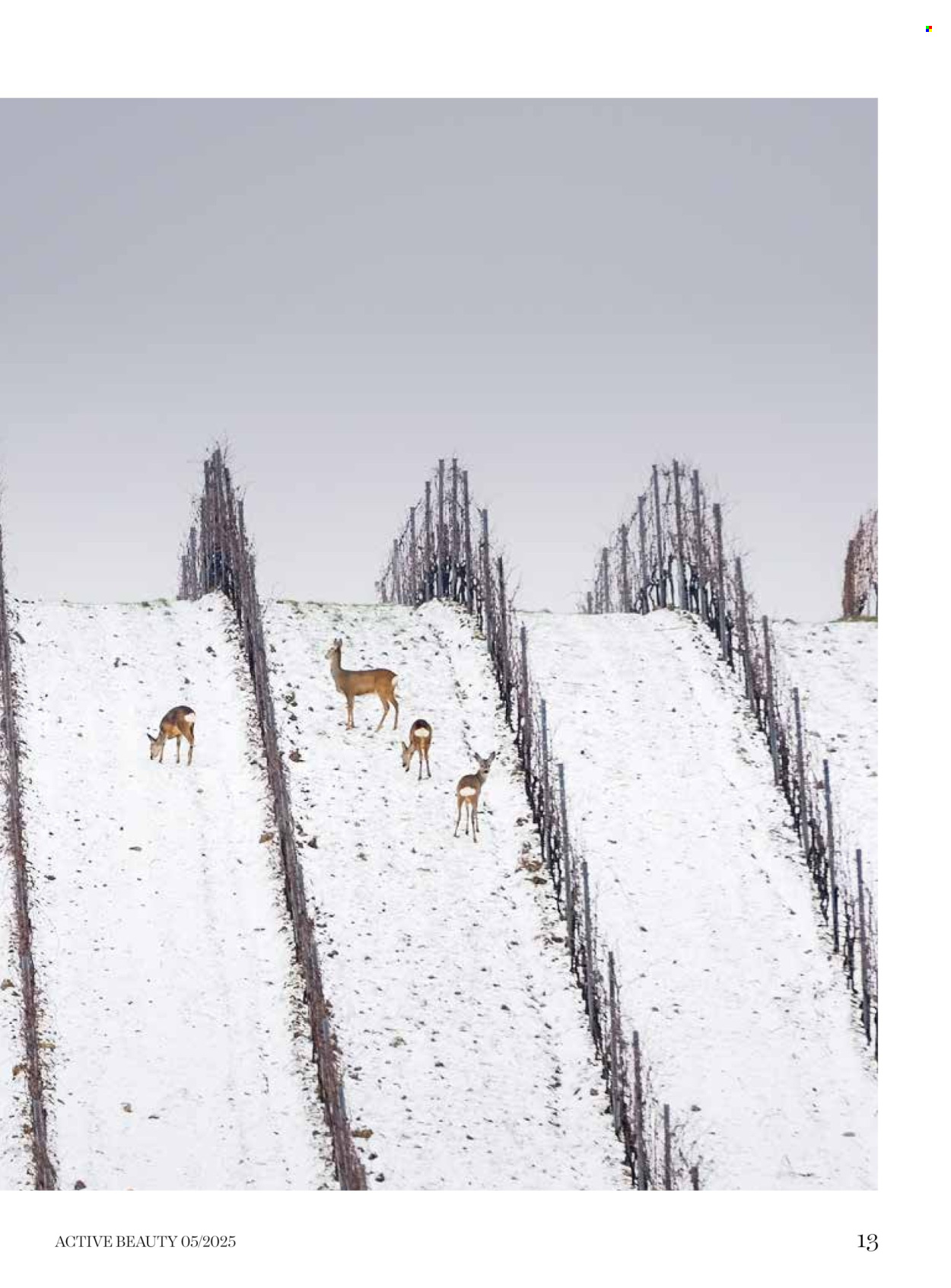 dm drogerie katalog. Stranica 13