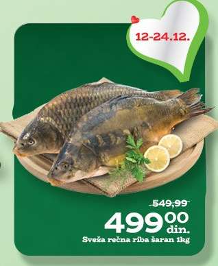 Sveža rečna riba šaran 1kg