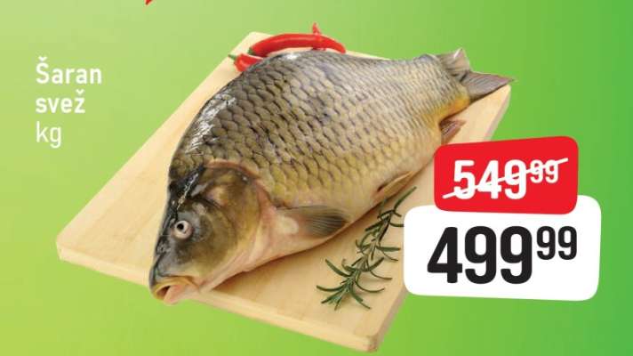 Šaran svež