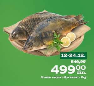 Sveža rečna riba šaran 1kg