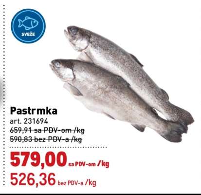 Pastrmka