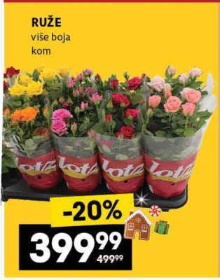 Ruže