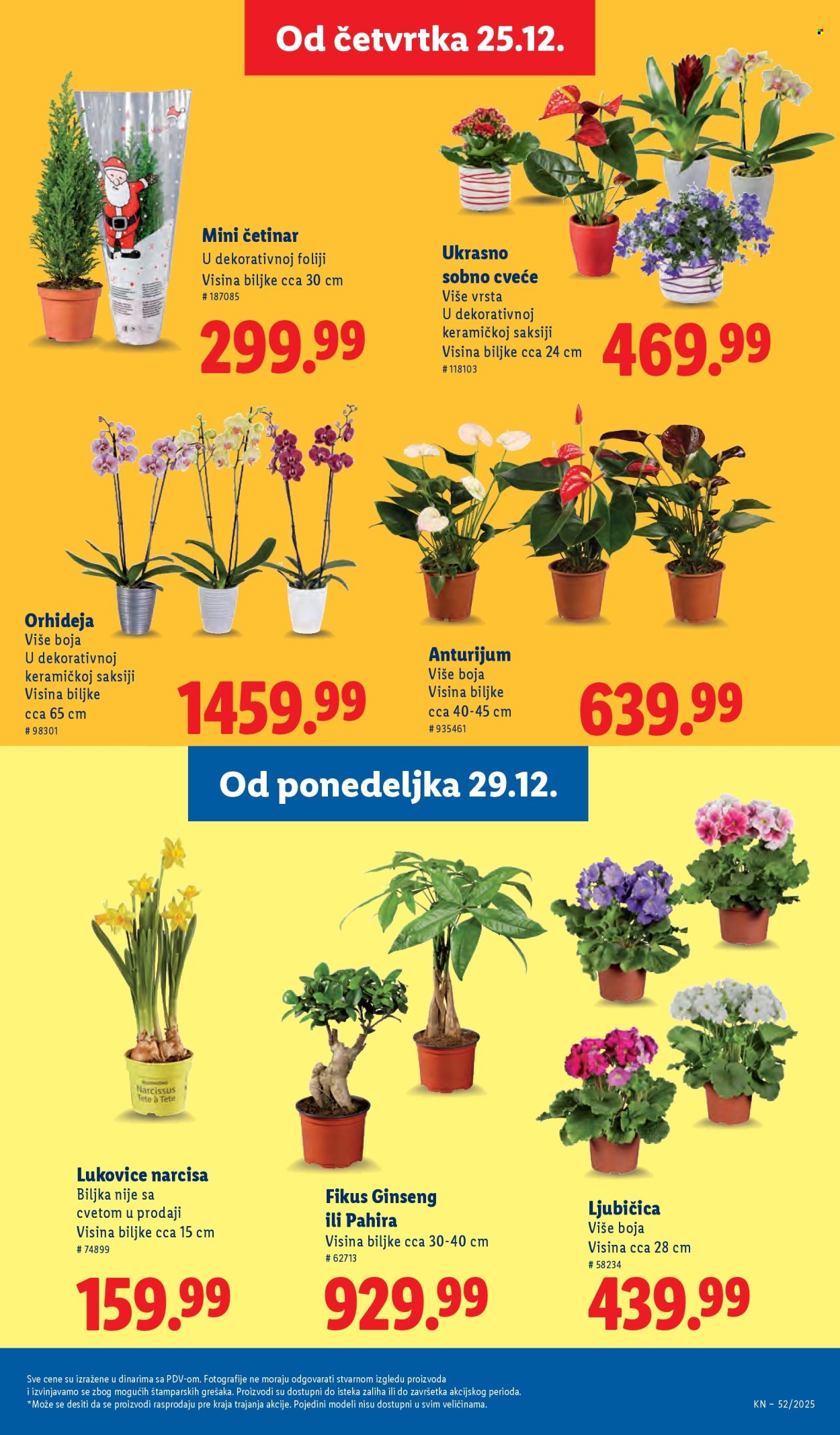 Lidl katalog - 25.12.2025 - 31.12.2025. Stranica 51