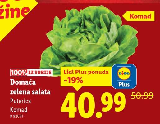 Domaća zelena salata