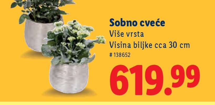 Sobno cveće