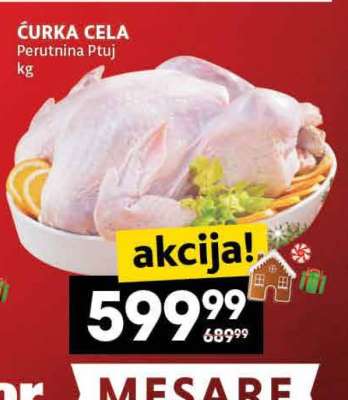 ČURKA CELA