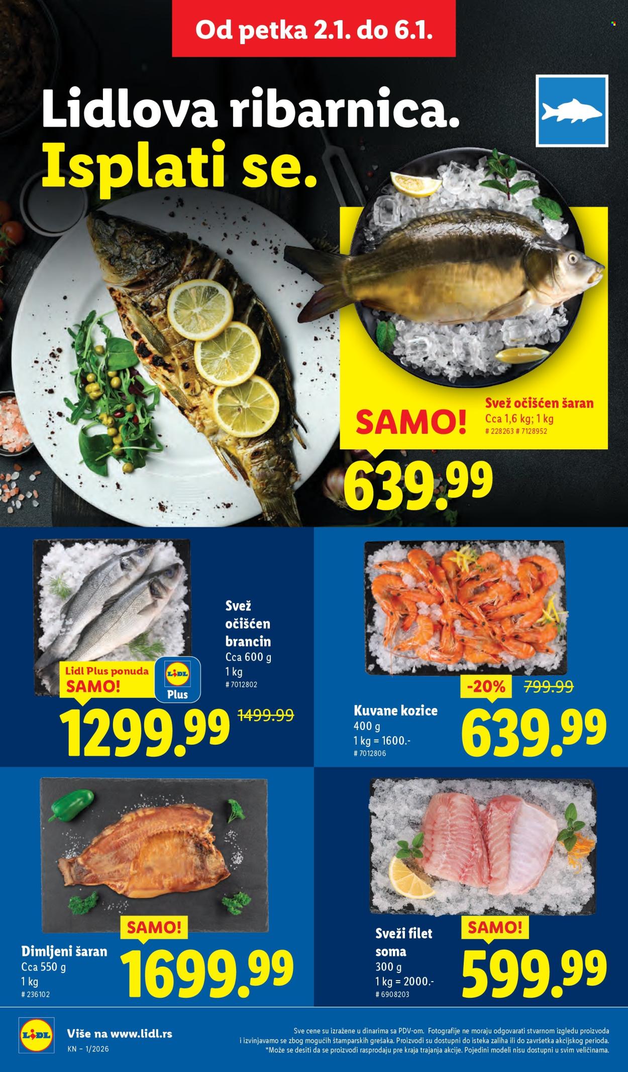 Lidl katalog - 02.01.2026 - 06.01.2026. Stranica 16