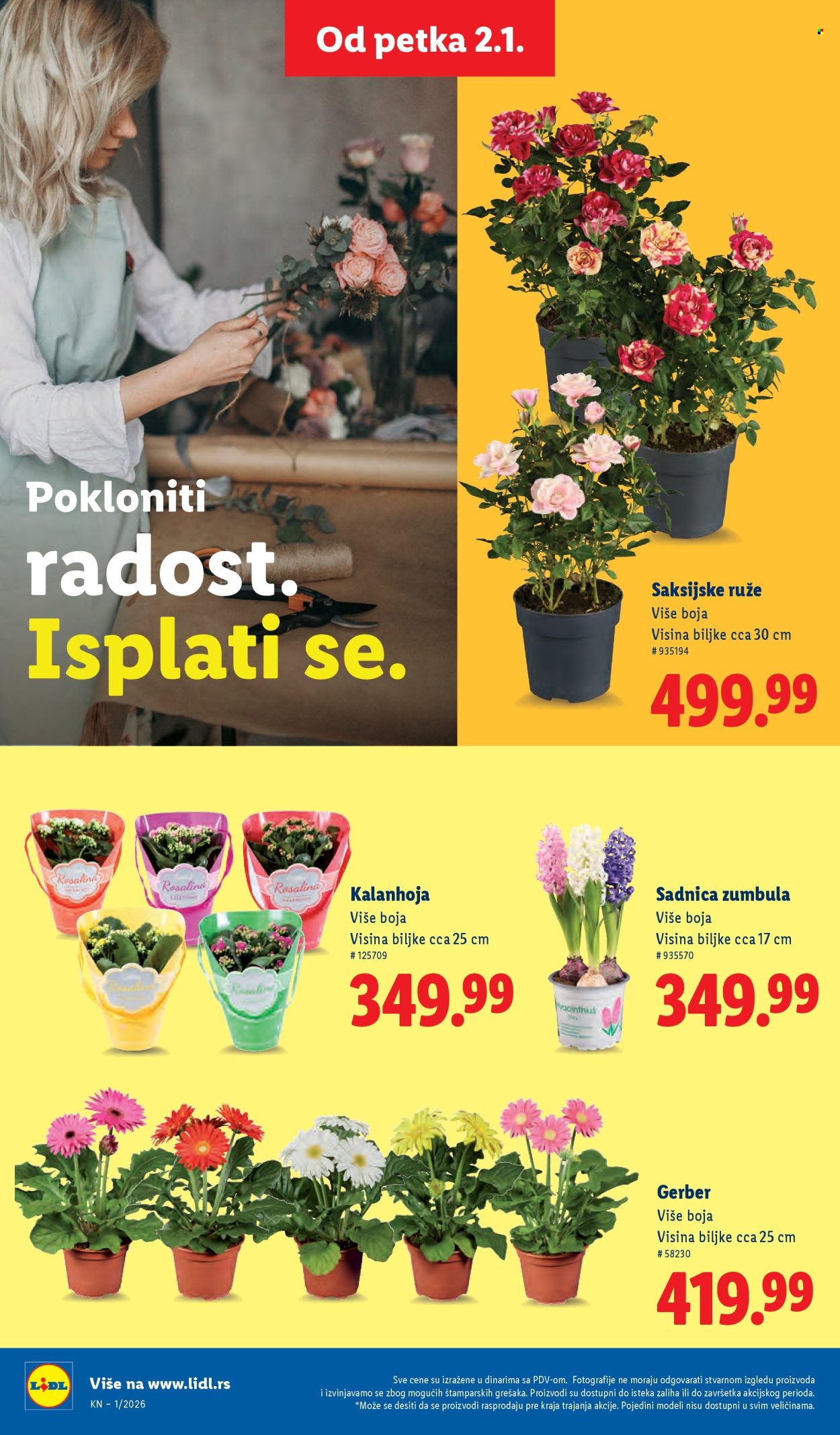 Lidl katalog - 02.01.2026 - 06.01.2026. Stranica 54