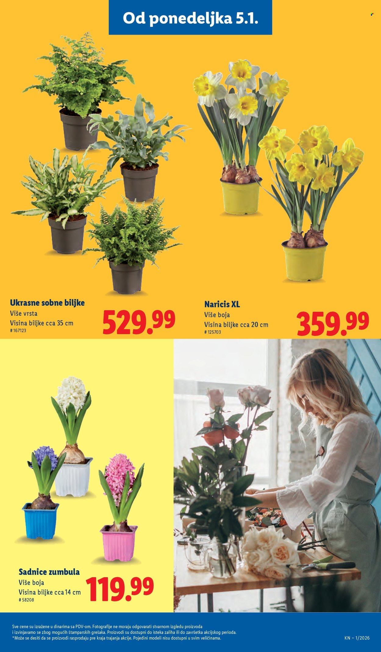 Lidl katalog - 02.01.2026 - 06.01.2026. Stranica 55