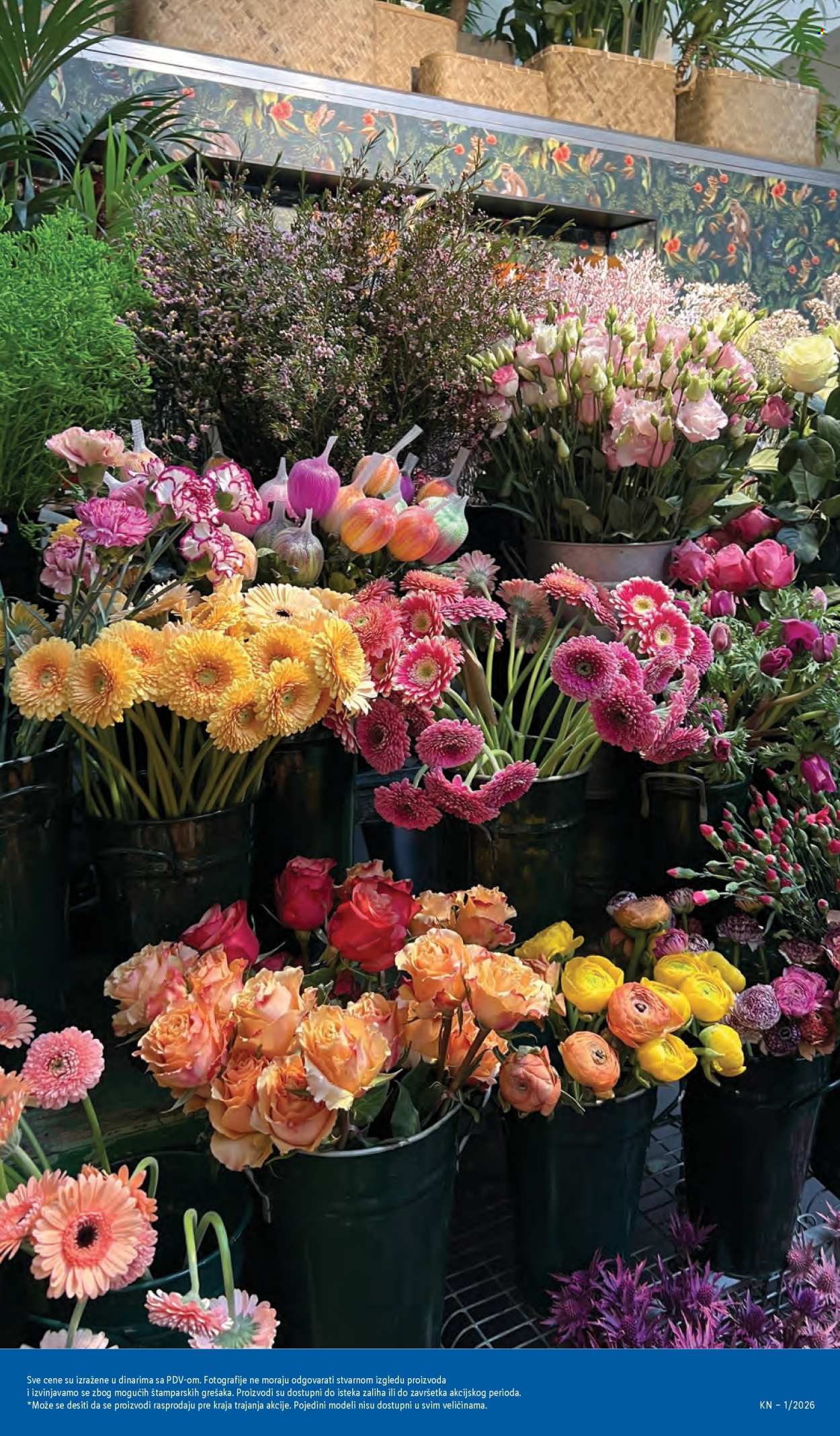 Lidl katalog - 02.01.2026 - 06.01.2026. Stranica 57