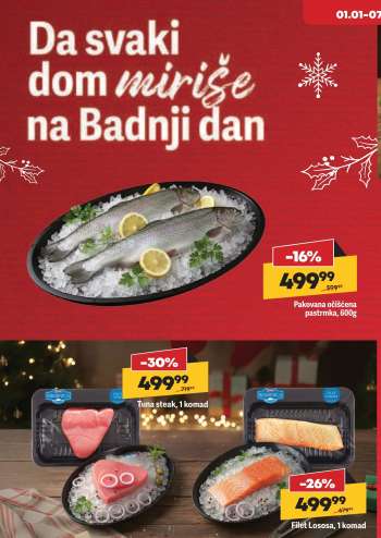 Maxi katalog - 01.01.2026 - 07.01.2026.