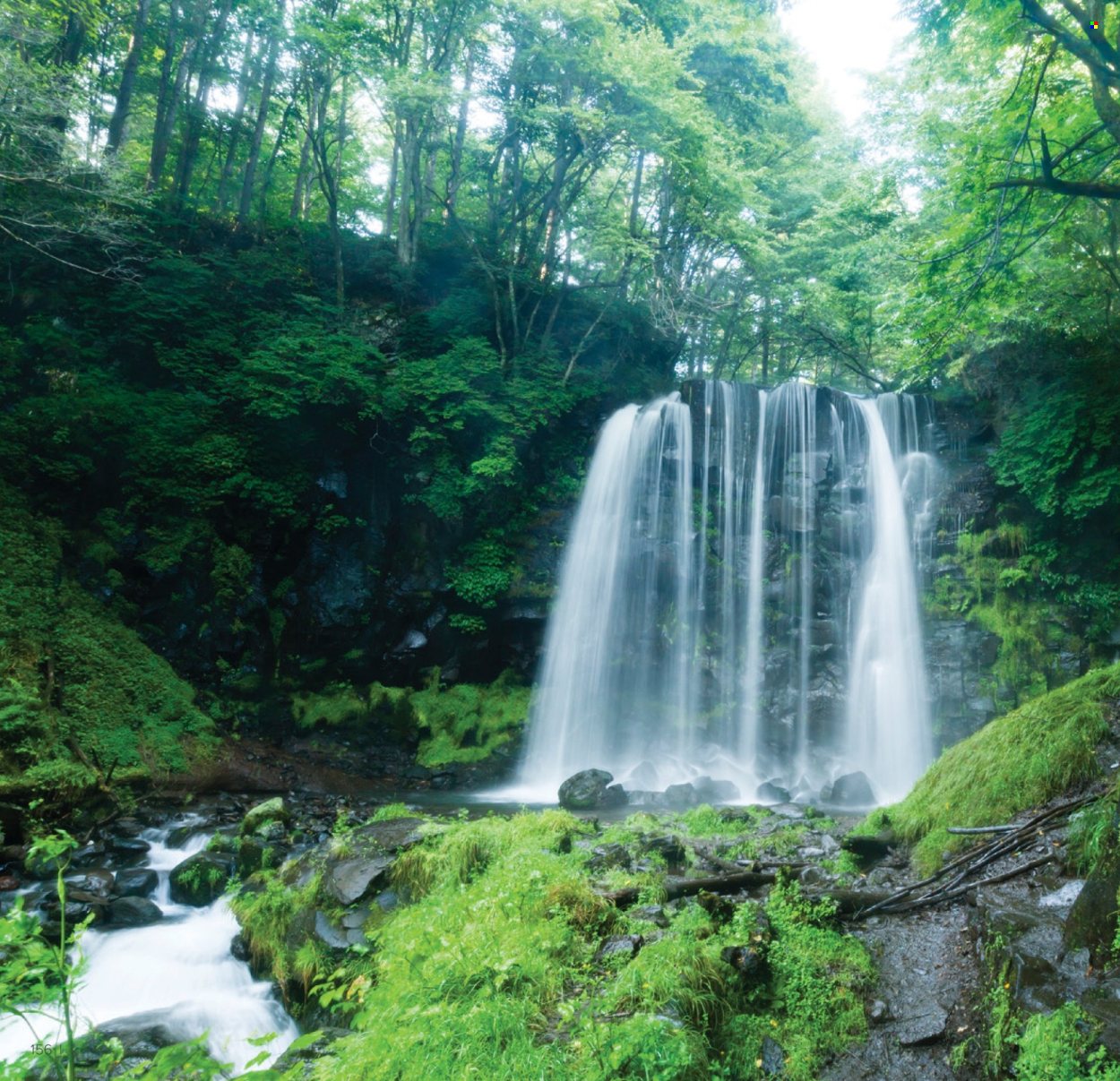 Farmasi katalog - 01.01.2026 - 31.01.2026. Stranica 156