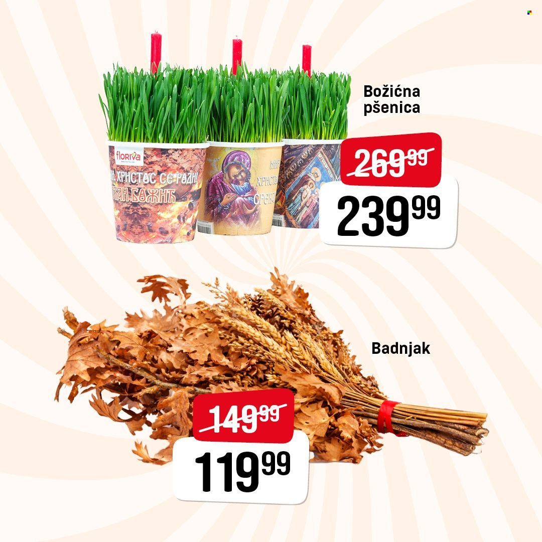 DIS katalog - 02.01.2026 - 14.01.2026. Stranica 2