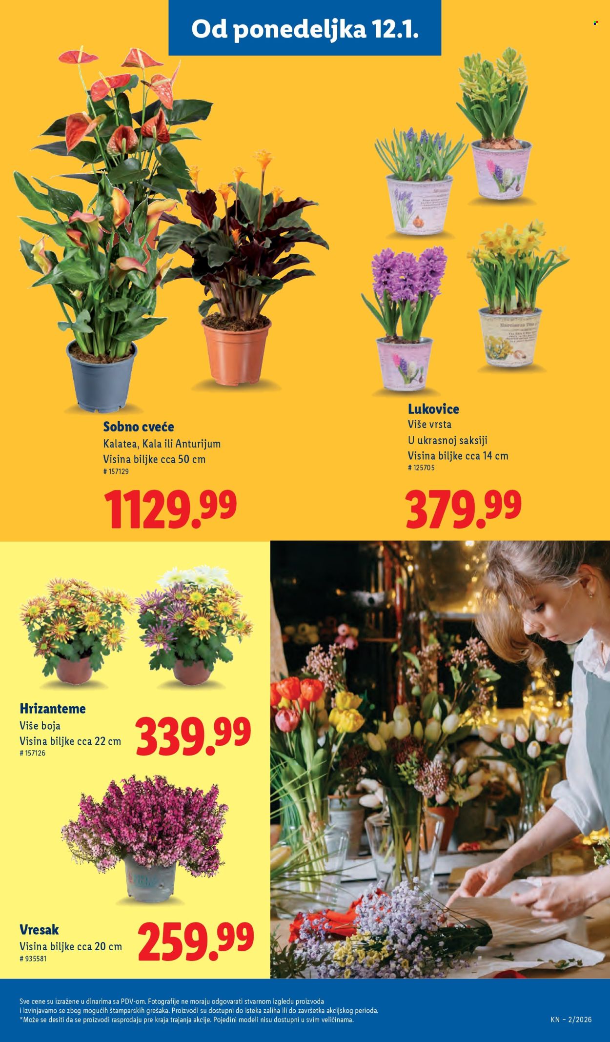 Lidl katalog - 08.01.2026 - 14.01.2026. Stranica 51