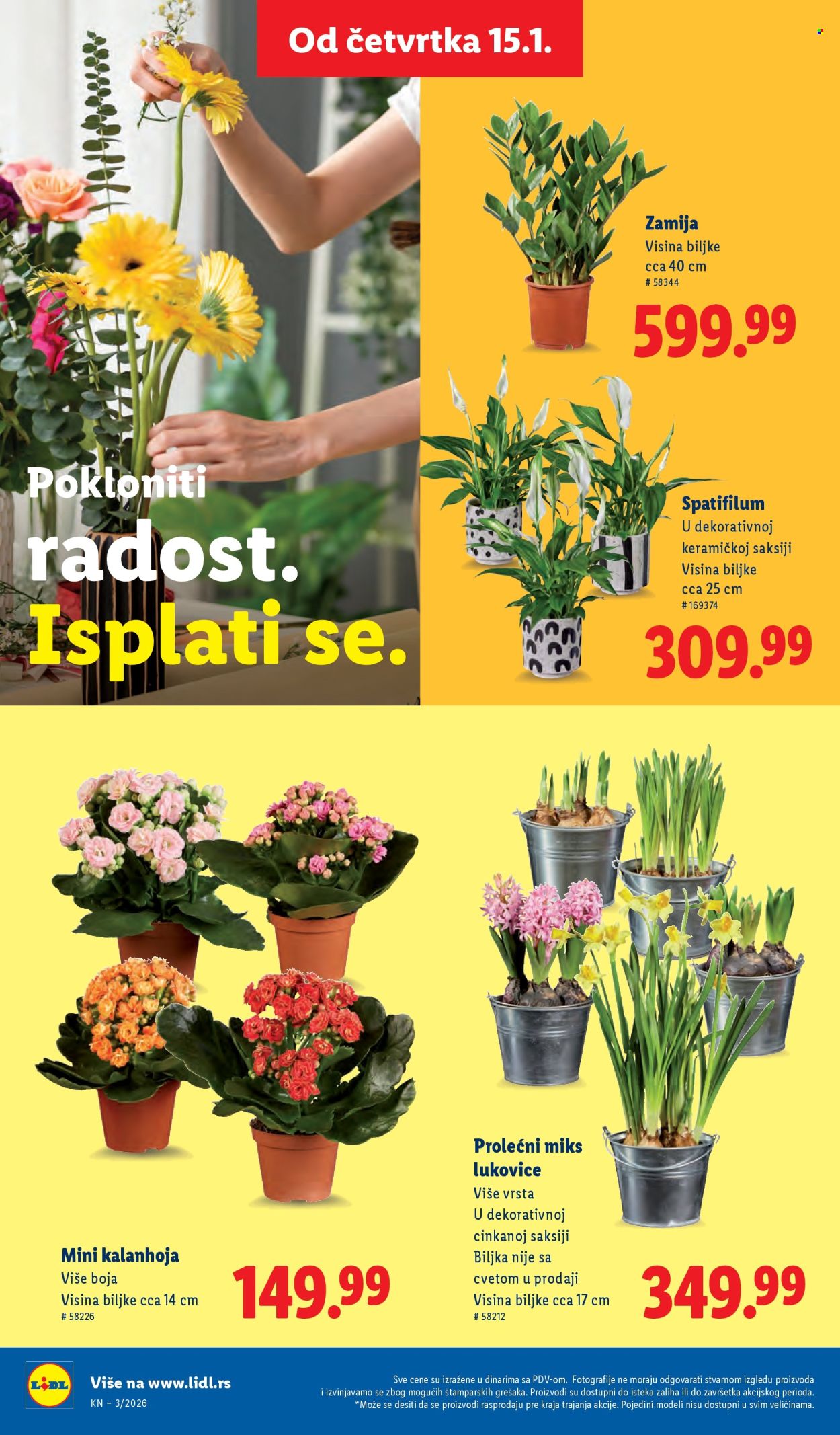 Lidl katalog - 15.01.2026 - 21.01.2026. Stranica 40