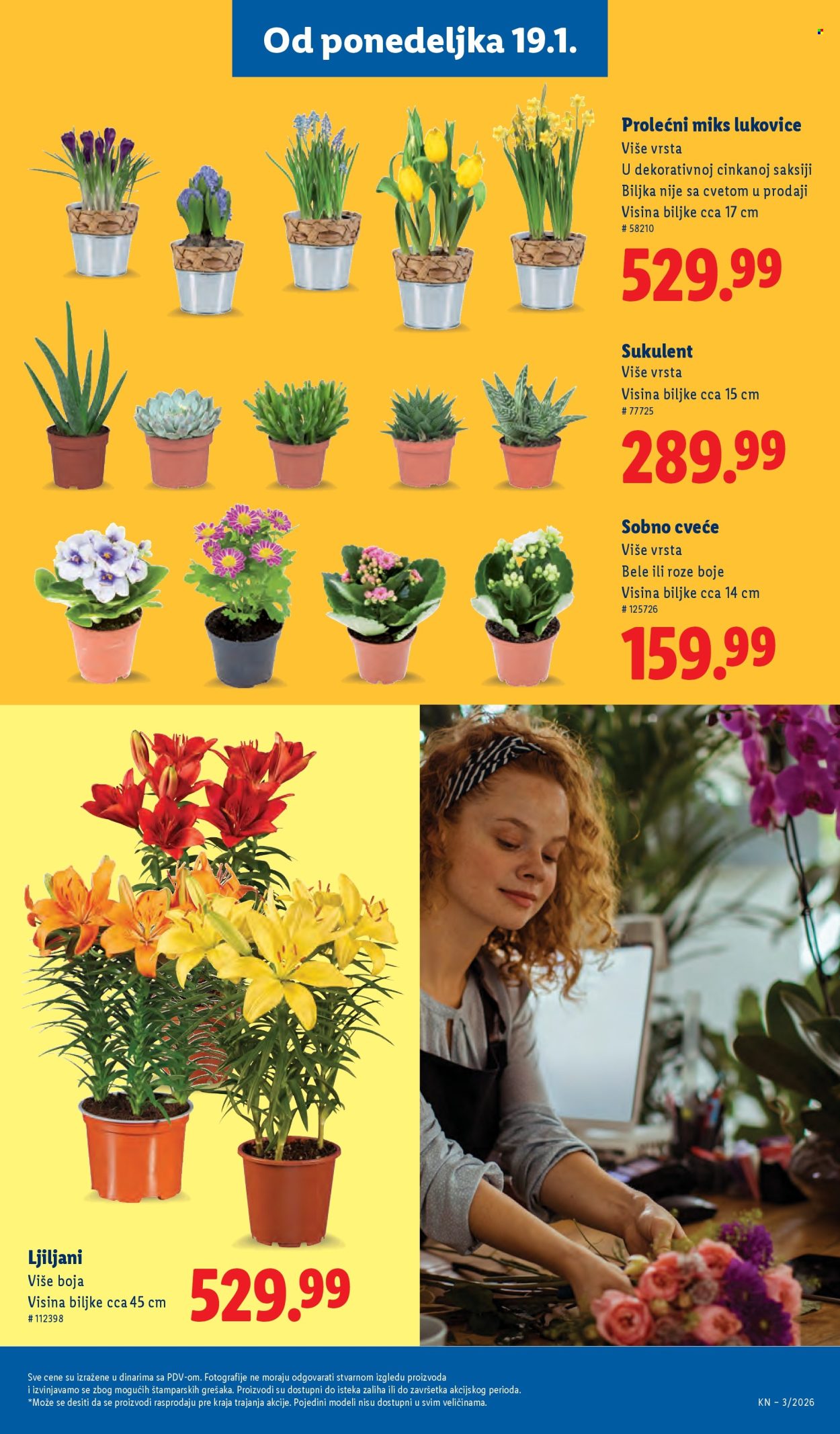 Lidl katalog - 15.01.2026 - 21.01.2026. Stranica 41