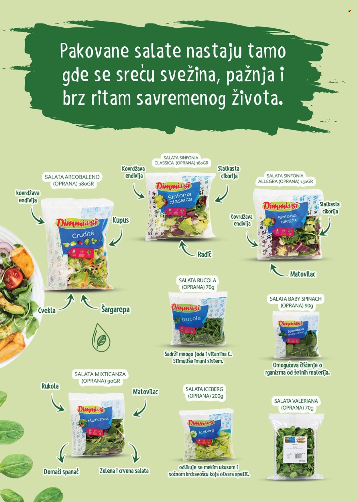 Medius katalog. Stranica 2