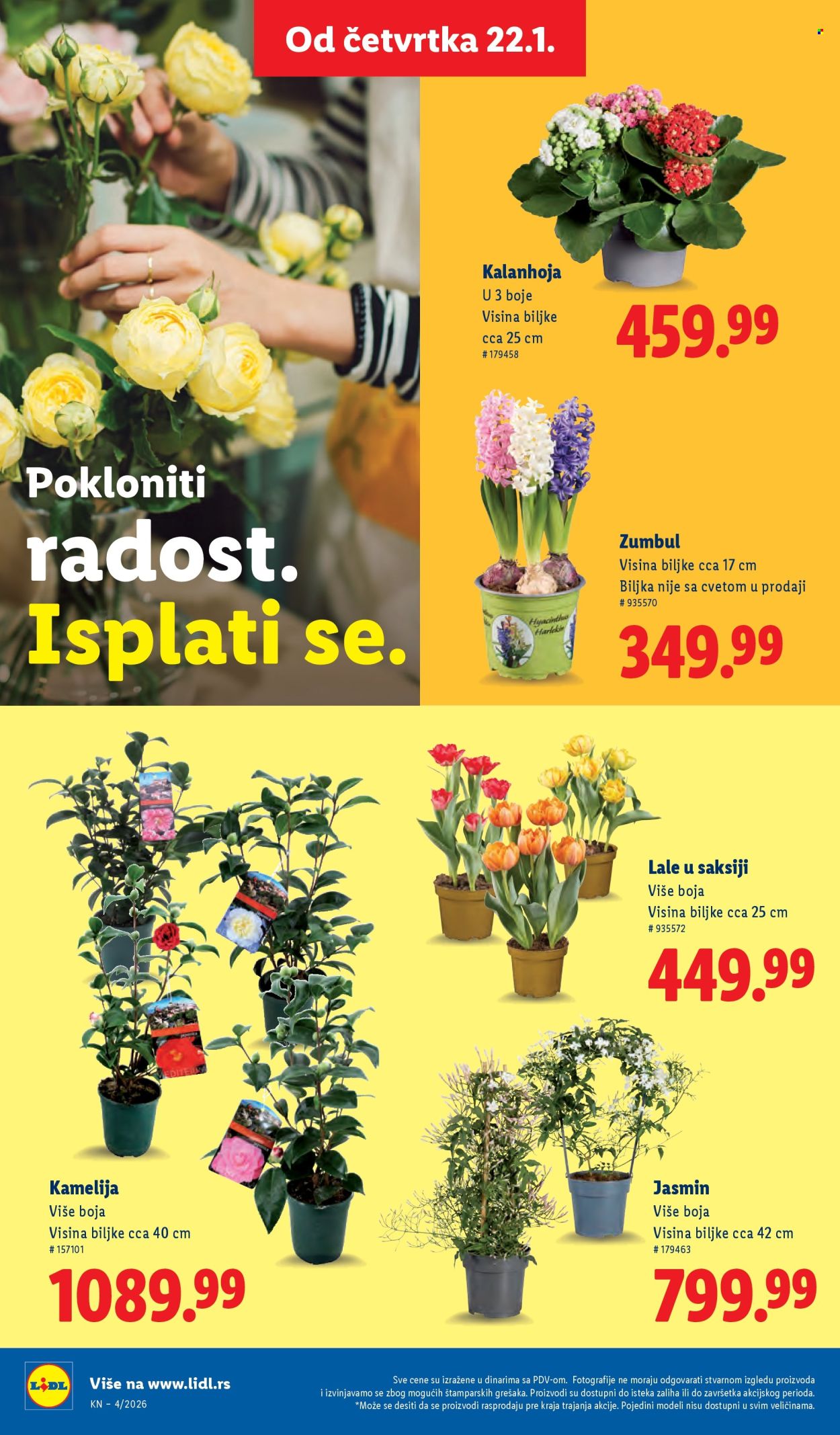 Lidl katalog - 22.01.2026 - 28.01.2026. Stranica 48