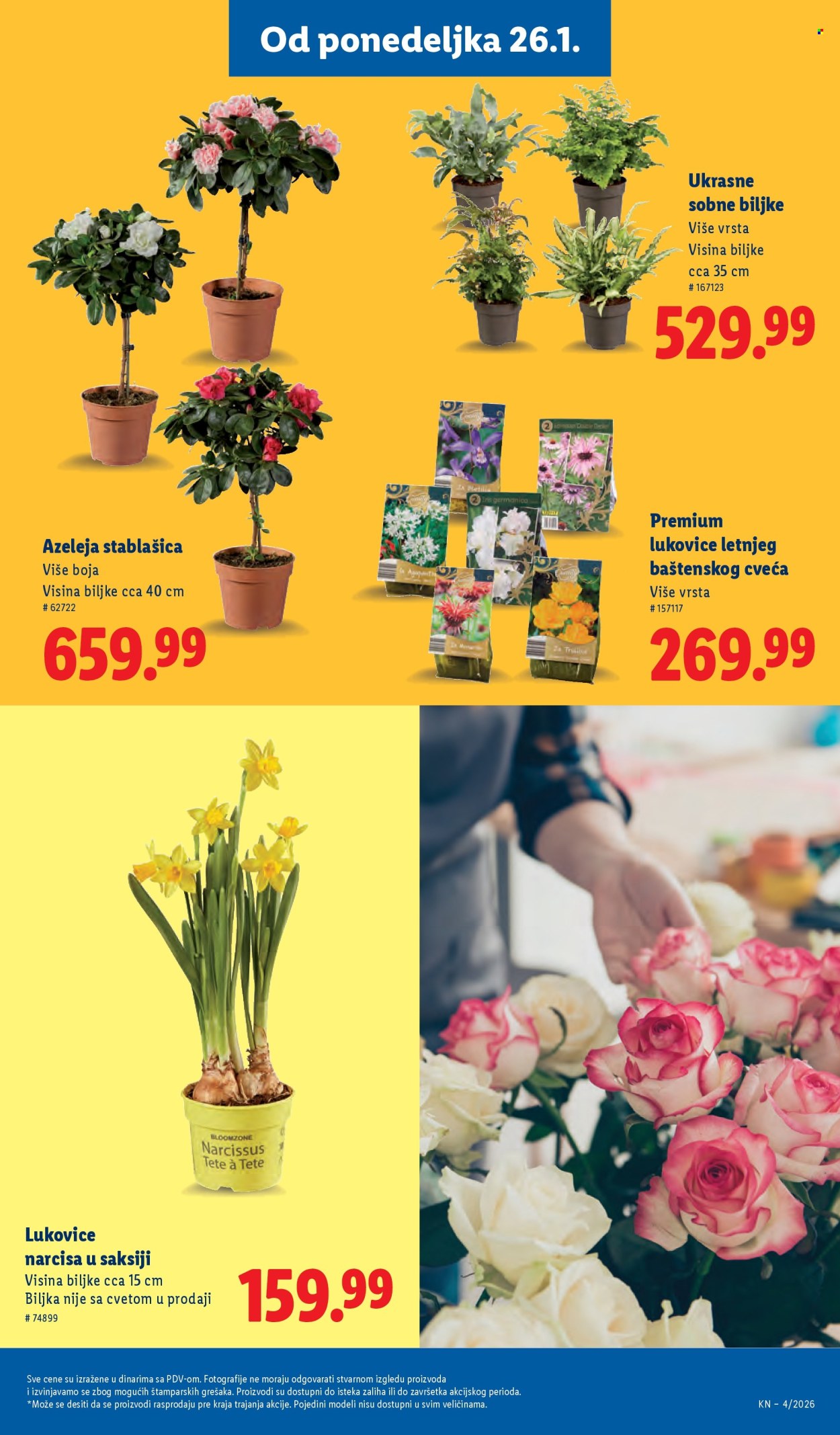Lidl katalog - 22.01.2026 - 28.01.2026. Stranica 49