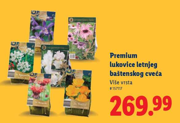 Premium lukovice letnjeg baštenskog cveća