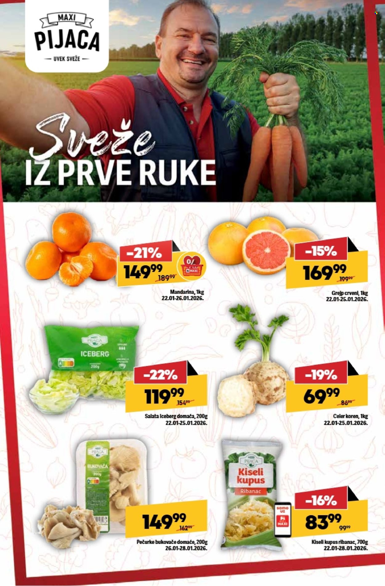 Maxi katalog - 22.01.2026 - 28.01.2026. Stranica 6