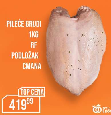 PILEĆE GRUDI