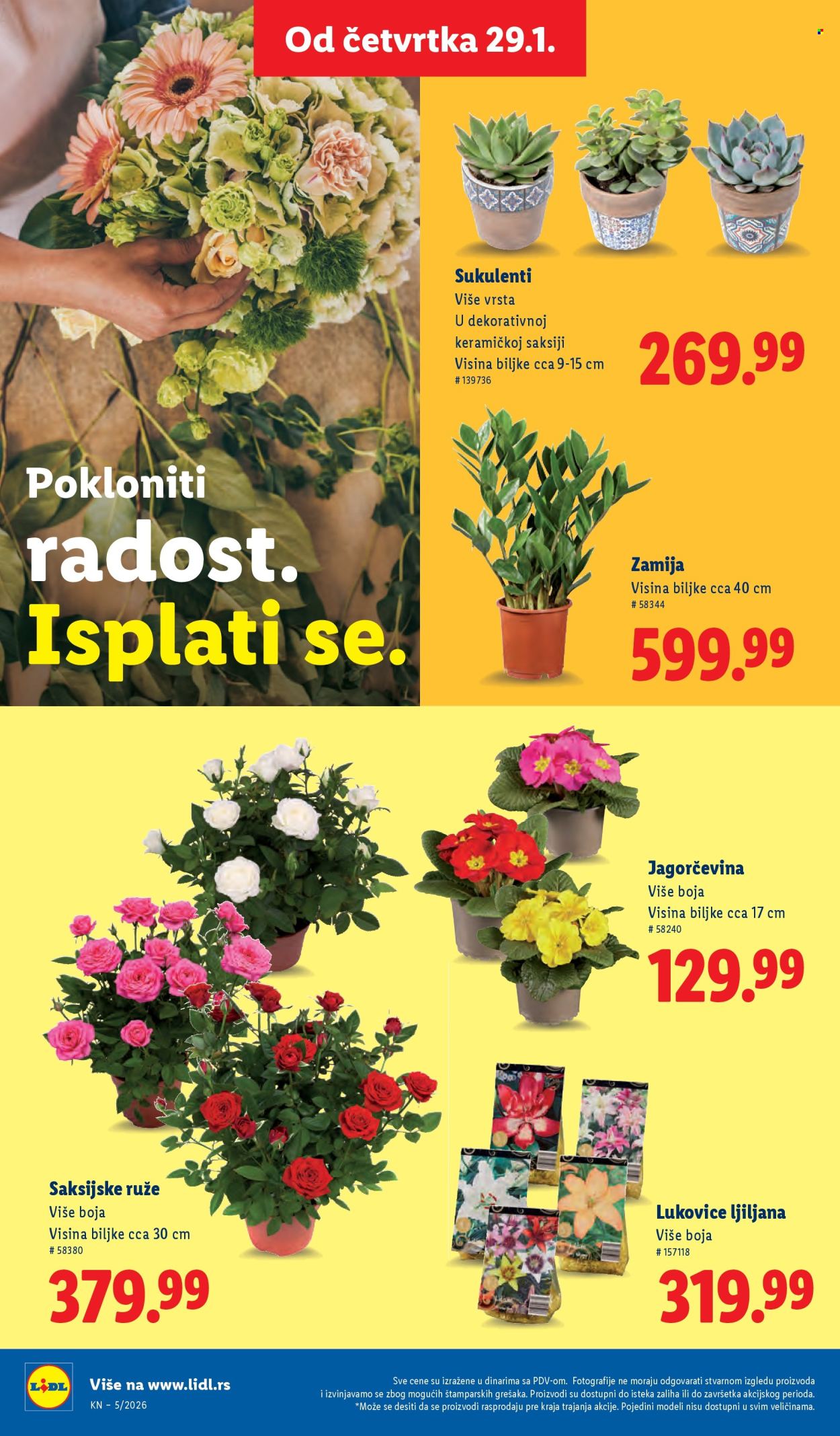 Lidl katalog - 29.01.2026 - 04.02.2026. Stranica 42