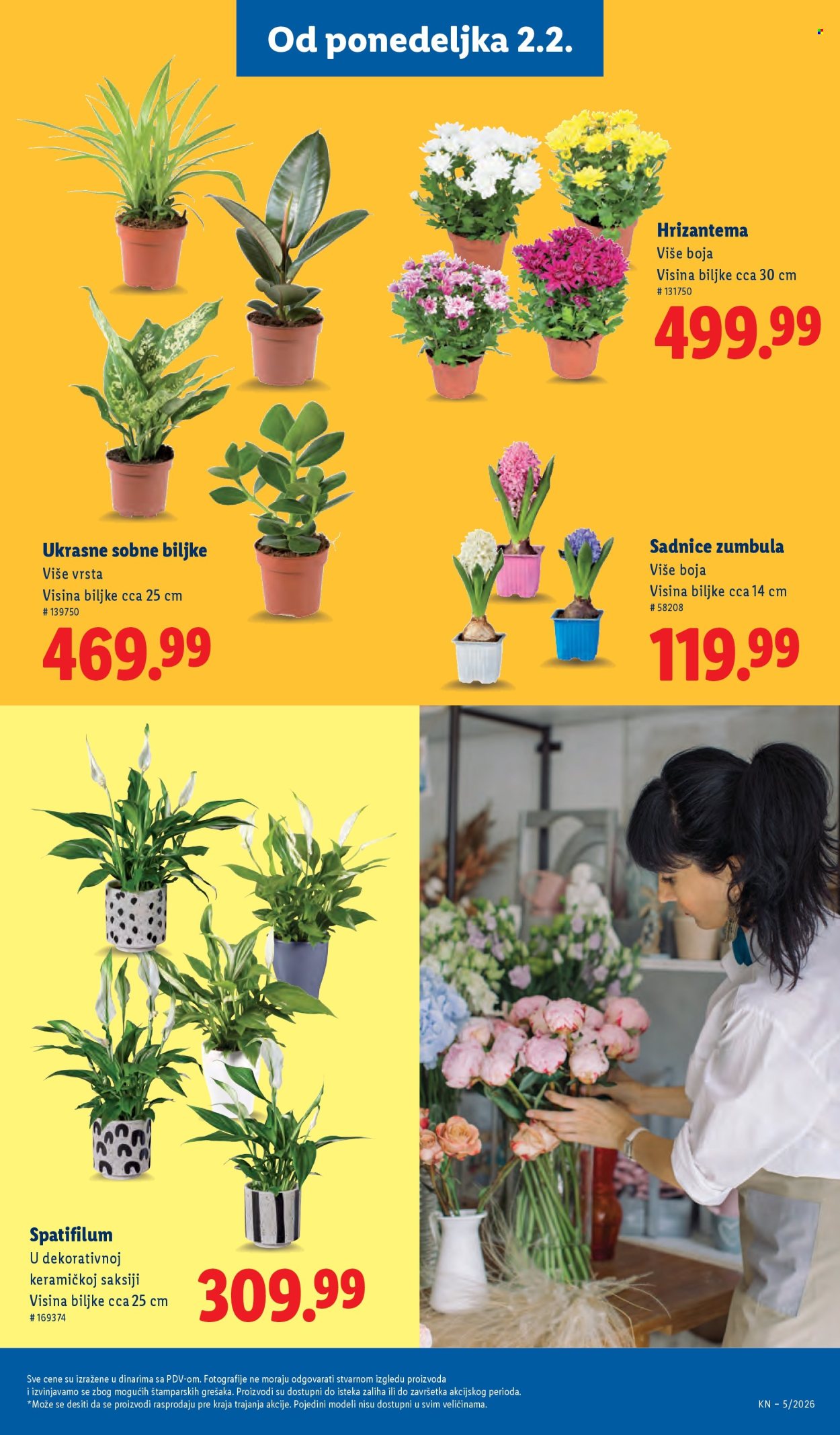 Lidl katalog - 29.01.2026 - 04.02.2026. Stranica 43