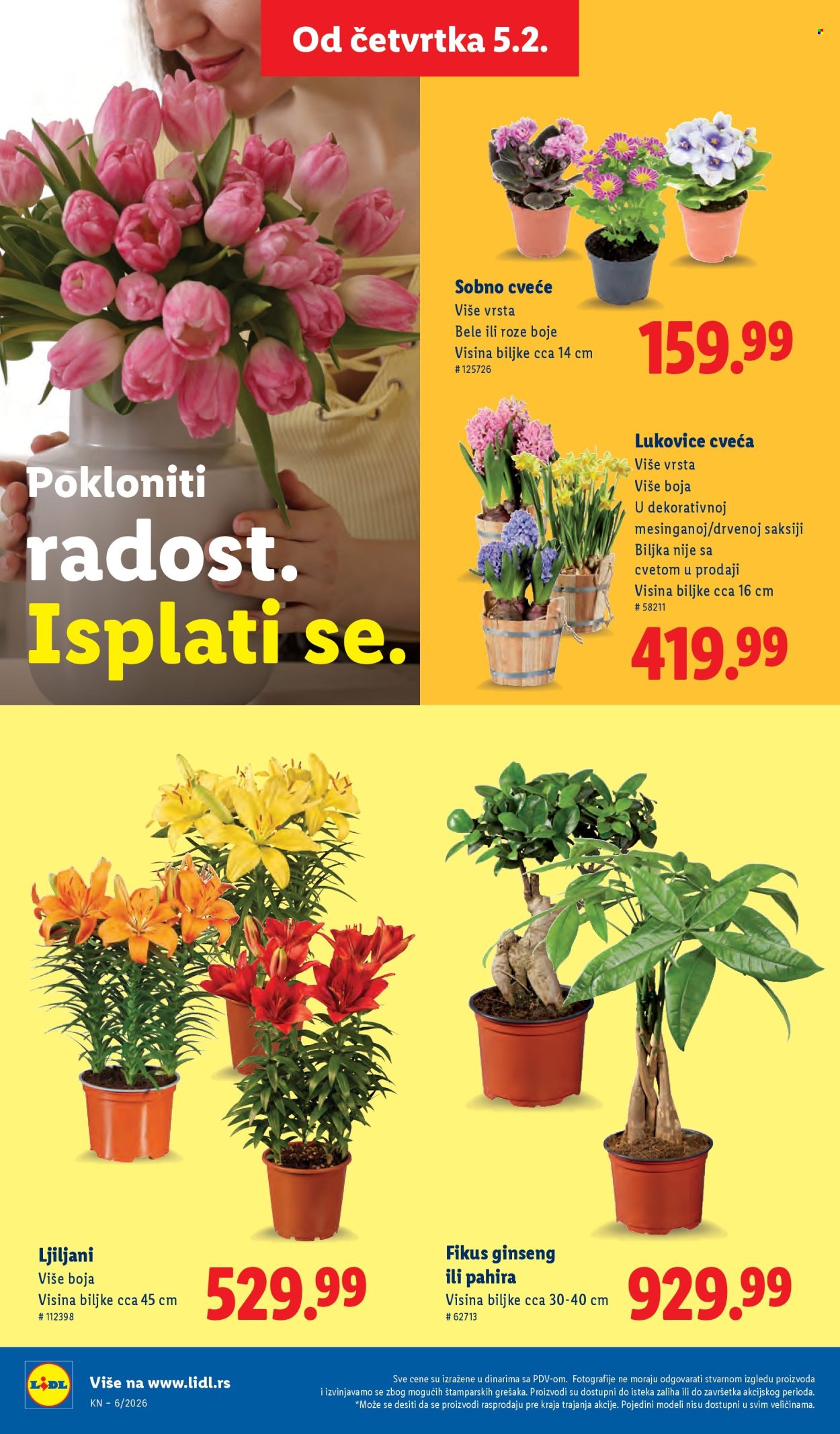 Lidl katalog - 05.02.2026 - 11.02.2026. Stranica 54