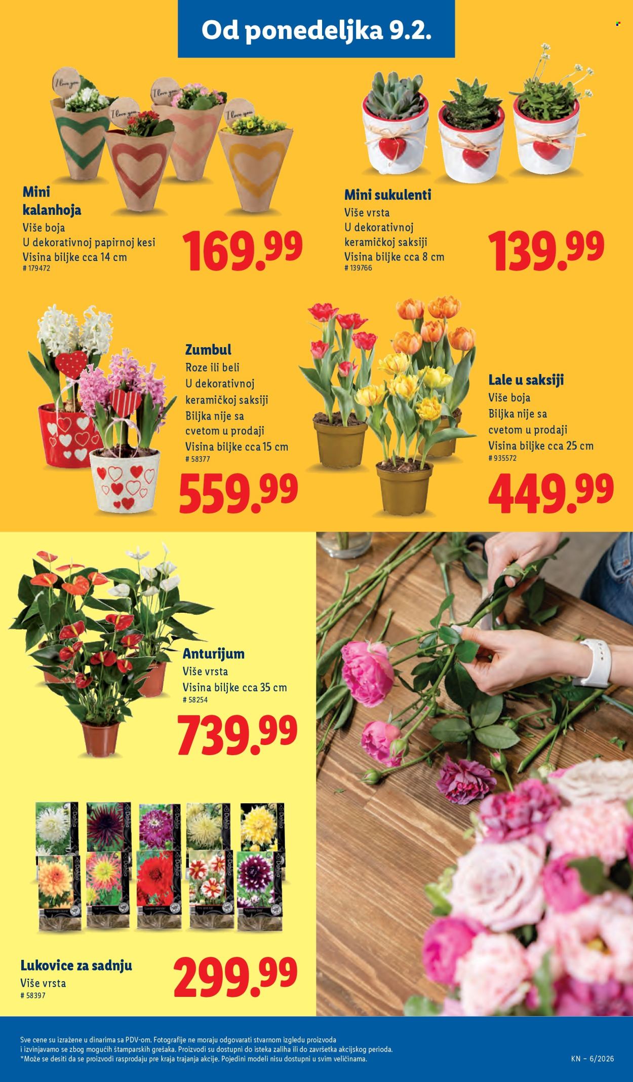 Lidl katalog - 05.02.2026 - 11.02.2026. Stranica 55
