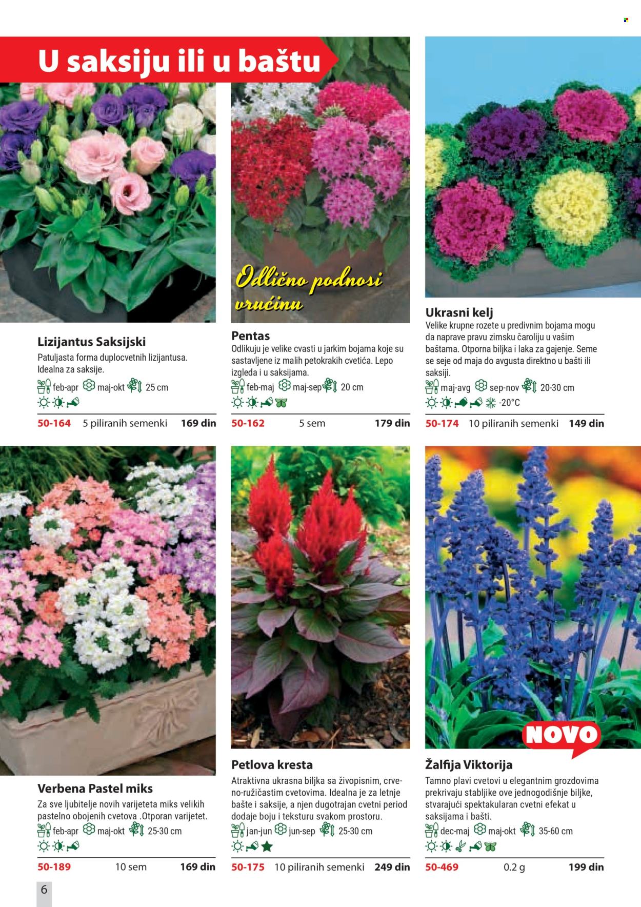 Flora Ekspres katalog. Stranica 6