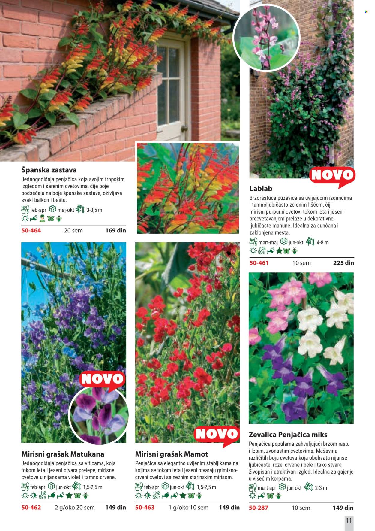 Flora Ekspres katalog. Stranica 11