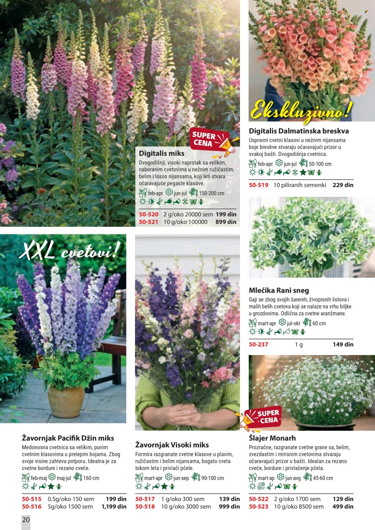 Flora Ekspres katalog. Stranica 20