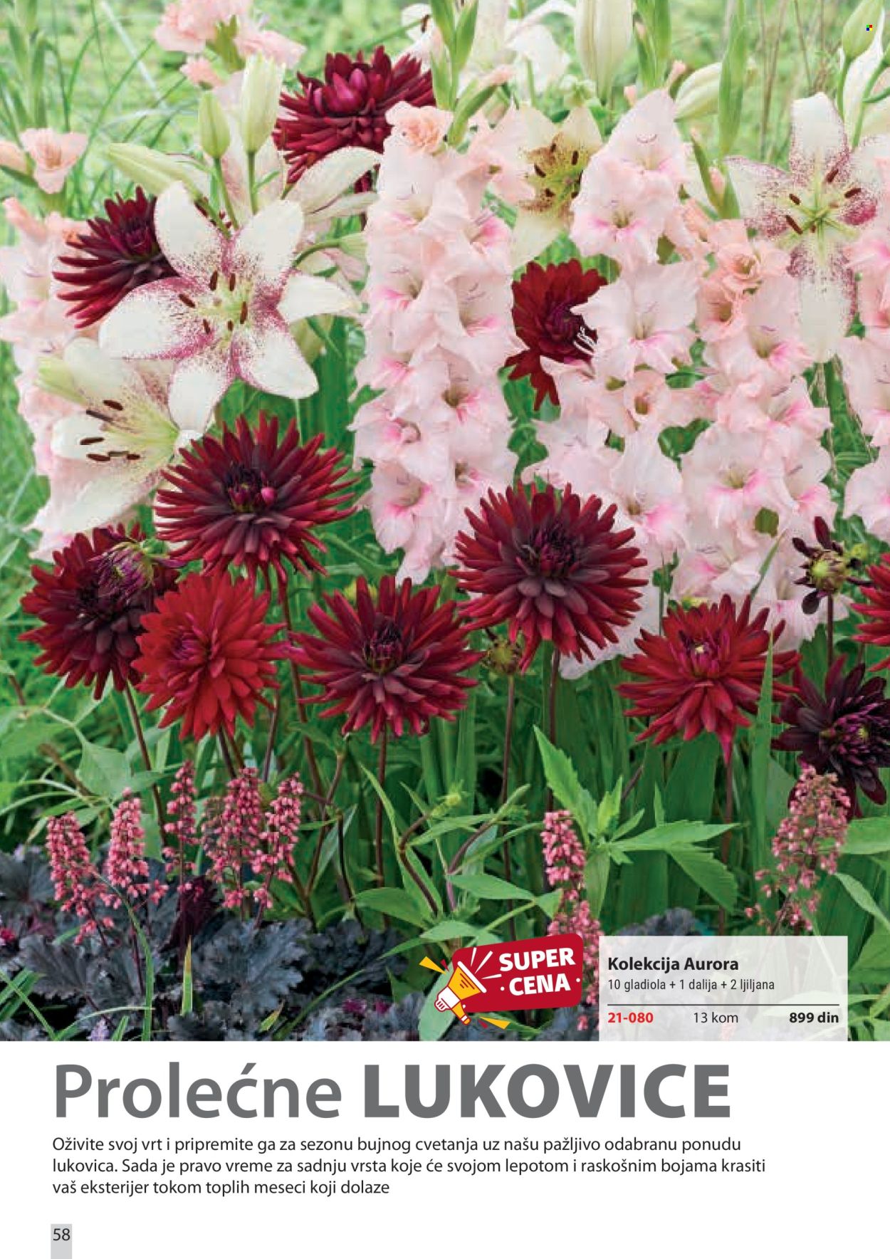 Flora Ekspres katalog. Stranica 58